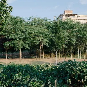 Rural Mas De L'illa Tivissa